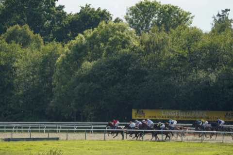 Races abandoned at Lingfield with track deemed unsafe as horses slip on bend in dangerous conditions