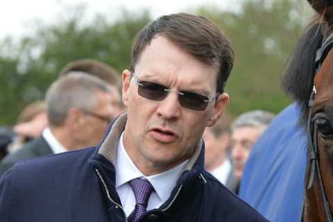 Richest stud horse Galileo – who is worth a staggering £180m – could have heir in Irish thoroughbred Churchill