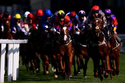 Royal Ascot: Templegate’s Magnificent Seven to back in Flat racing’s biggest week of the year