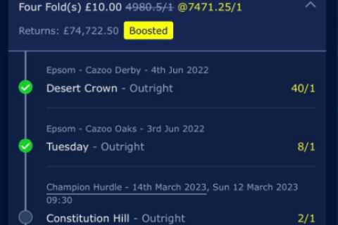 Punter who won £250,000 from losing Cheltenham bet needs just two horses to win to scoop £75,000 from a tenner