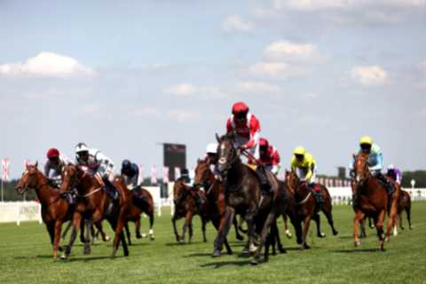 Royal Ascot punters set to stake record £100million and down tens of thousands of gallons of booze