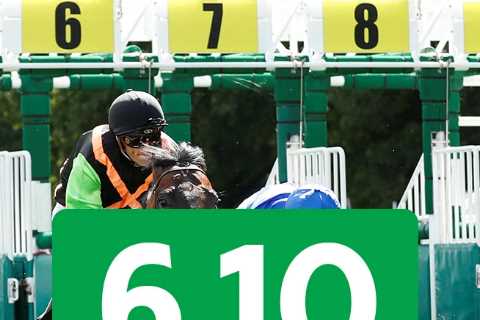 Who won the 6.10 at Ascot? How EVERY horse finished in the Copper Horse Stakes