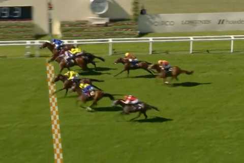 ‘What a race!’ – Royal Ascot viewers stunned as FIVE horses cross line at nearly same time in stunning finish
