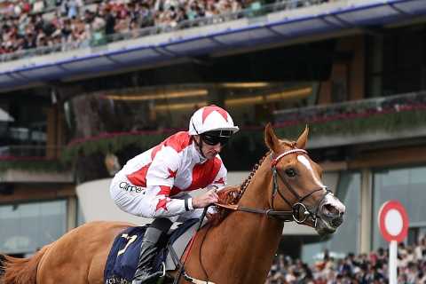 Arsenal fan sitting on £1million fortune thanks to Royal Ascot wonderhorse he bought ‘for fun’
