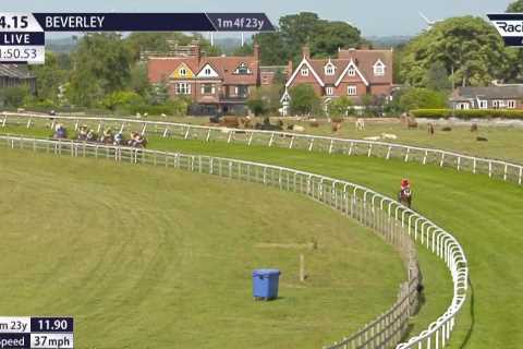 ‘What have I just witnessed?’ – Jockey banned after unbelievable ride on 50-1 winner who was given ‘uncontested lead’