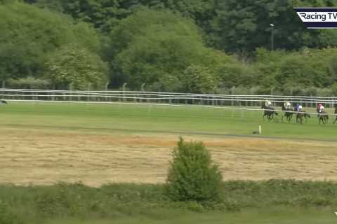 ‘Easiest win ever’ sparks uproar as apprentice jockeys suffer collective nightmare in truly bizarre horse race