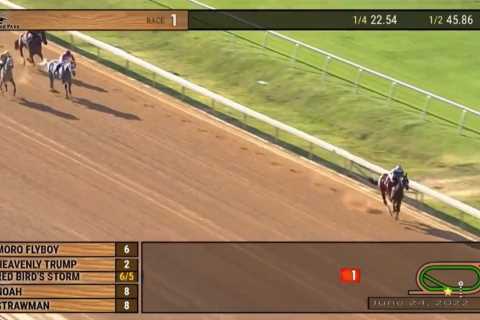 Is this the worst loss of all time? Unthinkable happens as horse and jockey throw away victory with dramatic crash