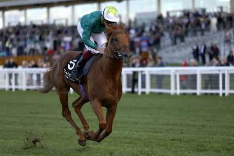 Tragedy for top horse trainer Ralph Beckett as Group 1-winning superstar Scope dies after gallops incident