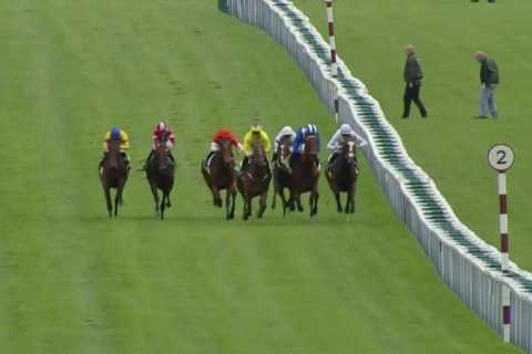 Racing fans and experts ‘baffled’ by decision to ban Robert Havlin for five days after Haydock collision