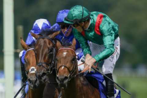 Matt Chapman: Christophe Soumillon has been hit with a ridiculously harsh ban, it makes no sense – & who rides Inspiral?