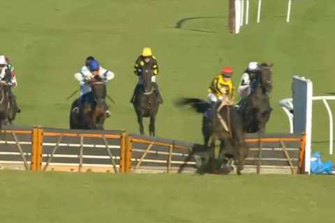 Dramatic moment leading horse ‘blinded by the sun’ causes chaos and sends rival crashing through rail