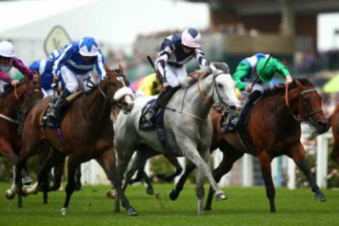 Millionaire racehorse and everyone’s favourite grey Lord Glitters retires aged nine as ‘wear and tear takes its toll’