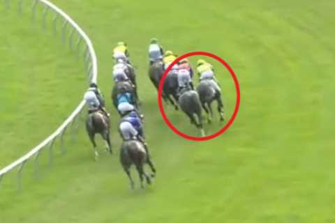 Uproar as wrestler-turned-jockey gets eight-day ban for fighting with rival after ‘almost getting killed’ in horse race