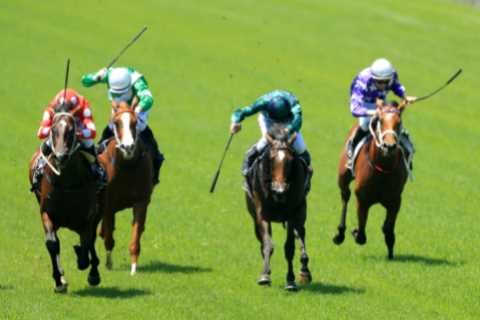Racing bosses issue radical whip clampdown as winners threatened with disqualification and month-long bans
