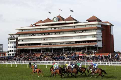 ‘Can I enter my cat?’ – Racing farce as NO horses declared for big Newbury race despite bumper crowd for Craig David gig