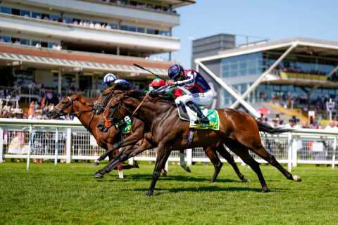 Hackwood Stakes CONFIRMED runners and Templegate tip for mouthwatering Newbury Group 3 on Saturday