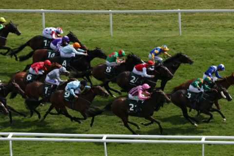 Weatherbys Super Sprint Stakes CONFIRMED runners and riders plus tip for massive 21-runner Newbury horse race