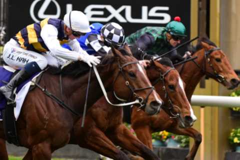 Jockey agent slapped with huge ban for betting against his own riders in horse races