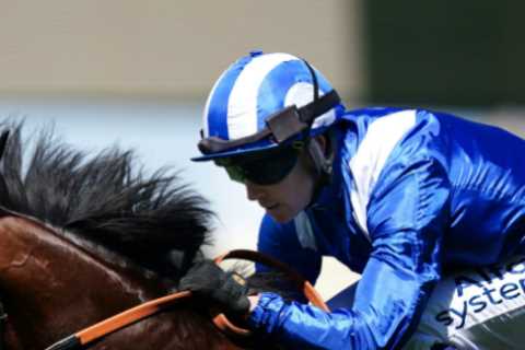 ‘I know it’s soft, but he won’t be around next year’ – William Haggas preparing for life without superstar Baaeed