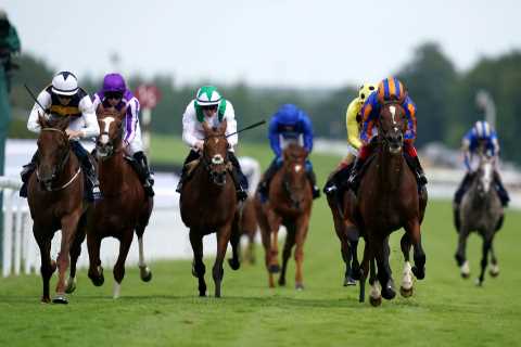 Templegate tip and complete runner-by-runner guide to Gordon Stakes at Goodwood on Thursday