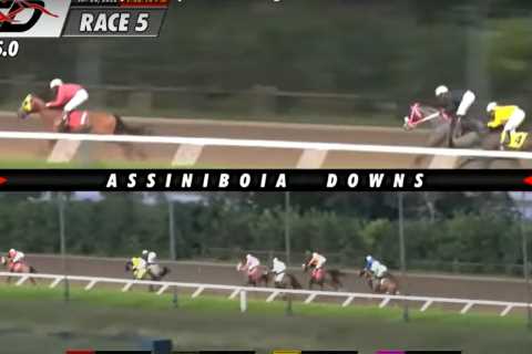Uproar as statement released explaining why jockey who lost huge lead in ‘very concerning’ race did nothing wrong