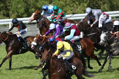 Stewards’ Cup COMPLETE runner-by-runner guide and Templegate 16-1 tip for 28-RUNNER blockbuster at Goodwood on Saturday