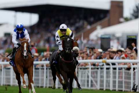 Commanche Falls a 25-1 stunner in Stewards’ Cup at Goodwood but trainer watches on 300 miles away