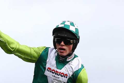 Gigantic Cheltenham Festival winner Topofthegame, 10, back in training… and 50-1 to win Grand National