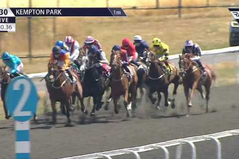 Carnage at Kempton as jockeys spiral across track in fall & bookies refund bets on horse who came last by 100 lengths