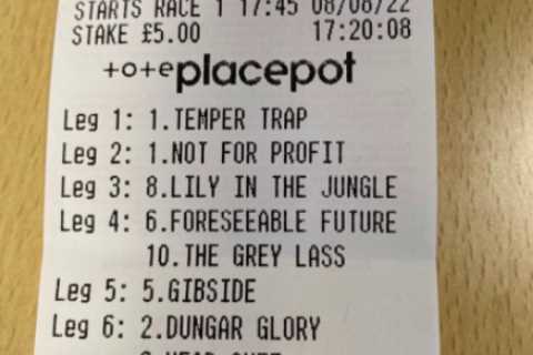 Genius punter wins a grand from £20 but it could have been SO much more after picking every winner at Ripon