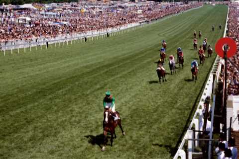 Shergar-style kidnapping attempt rocks racing as thieves try to steal winning horse in broad daylight