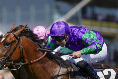‘I’m surprised they allowed it’ – racing’s forgotten man lands 125-1 winner on horse with controversial name