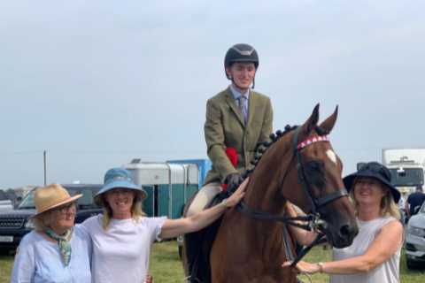 Gordon Elliott’s legendary horse looks unrecognisable in new career – can you work out who it is?