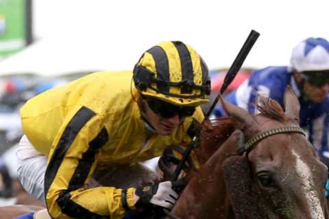 York Ebor: CONFIRMED runners and riders and Templegate tip for Saturday’s blockbuster horse race