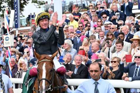 Punters devastated as Stradivarius OUT of York farewell with first ever injury