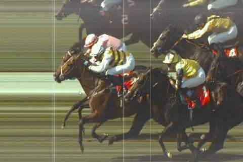 ‘Worst decision ever’ – Dramatic photo-finish controversy sees winning horse demoted and robbed of £9,500