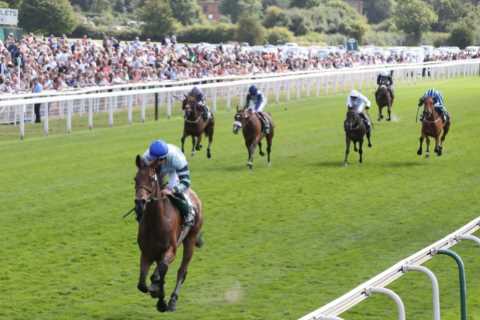 ‘A lot of unhappy punters’ – Furious fans blast ‘farce’ race as easy winner coasts home miles clear to win £142,000