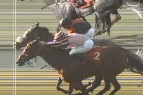 I’m gutted… £100,000 was mine until it got cruelly ripped away by just inches in unbelievable finish to horse race