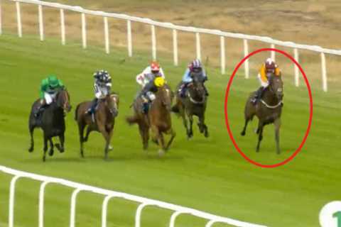 Woman critically injured and racehorse dies in horrific road crash just hours after winning at Yarmouth
