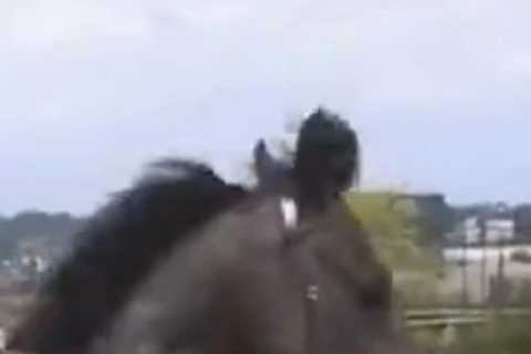 Watch crazy horse Blackbeard ‘take the p**s’ with dance moves before race as Ryan Moore just tries to hold on