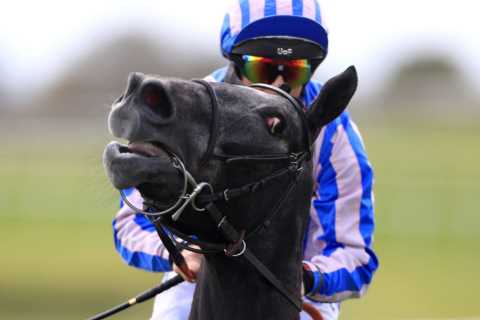 ‘I won’t be coming back’ – punters in disbelief as Catterick ABANDONED due to unsafe ground after 1.5mm of rain