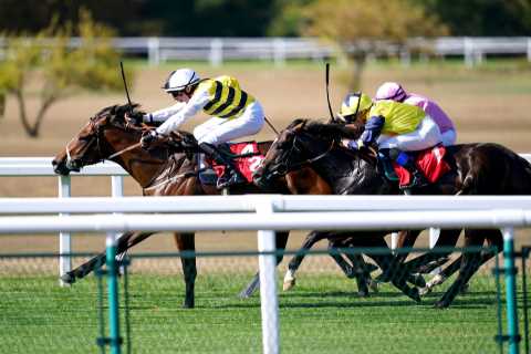 Matt Chapman: Latest whip ban is “embarrassing” but British racing has led the way into this “utter mess”