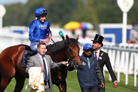 Horseracing in mourning after 2000 Guineas winner Coroebus suffers life-ending injury after falling at Longchamp