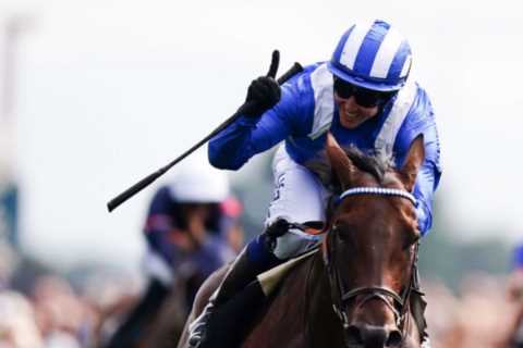 Want to see Baaeed? Then get here early warns William Haggas ahead of what could be horse’s last appearance in Britain