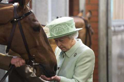 How many racehorses are owned by the Queen?
