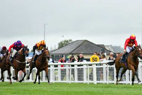 Matt Chapman: Highfield Princess is the winning lottery ticket we all dream of… she’s the public’s horse of the year