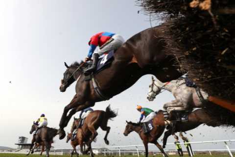 Paddy Power: Bet £20 on any horse at Redcar, Punchestown or Wolverhampton and get your money back as cash if it loses