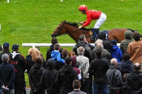 Men who gamble on horses tend to be BRAINIER than those who don’t, research suggests