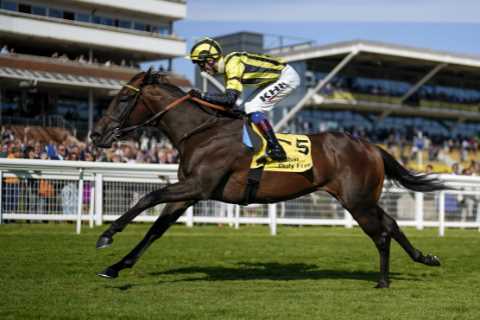 ‘Blown away’ – top trainer Roger Varian hammers bookies with mega 9,290-1 six-timer on Saturday