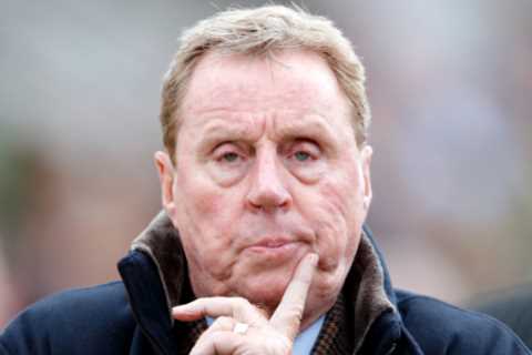 Harry Redknapp offered big money for latest transfer as offers flood in for his £500,000 racehorse